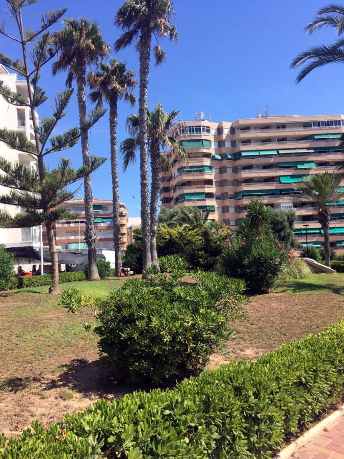 Apartmento Hana Con Terraza - Despues De La Renovacion General La Mata  Ngoại thất bức ảnh